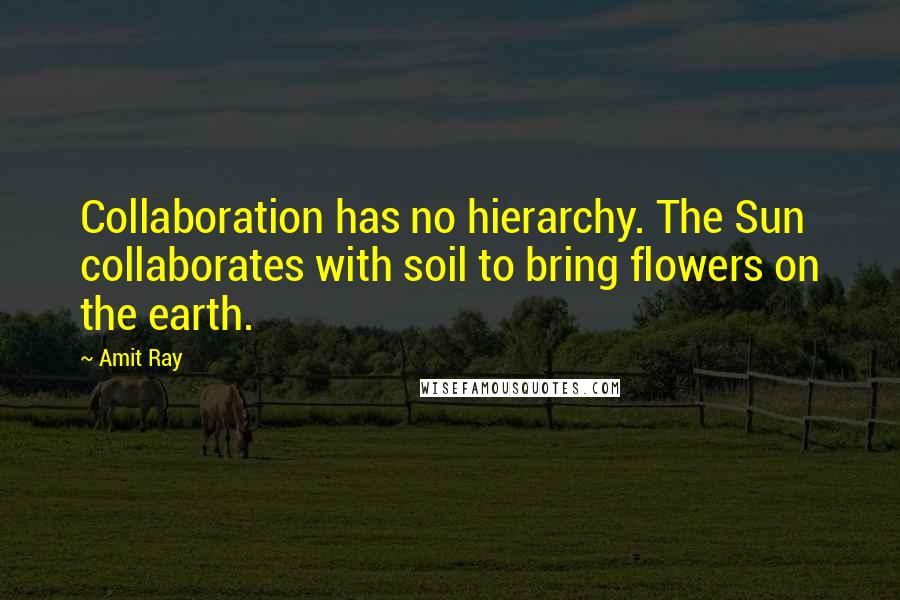 Amit Ray Quotes: Collaboration has no hierarchy. The Sun collaborates with soil to bring flowers on the earth.