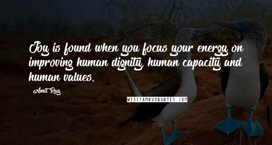 Amit Ray Quotes: Joy is found when you focus your energy on improving human dignity, human capacity and human values.