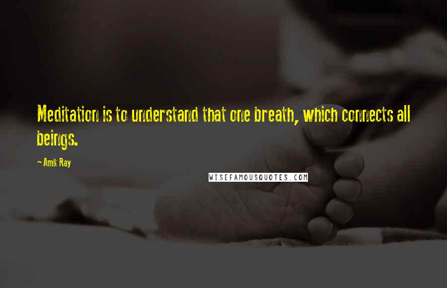 Amit Ray Quotes: Meditation is to understand that one breath, which connects all beings.