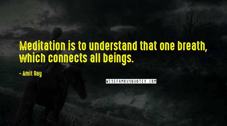 Amit Ray Quotes: Meditation is to understand that one breath, which connects all beings.