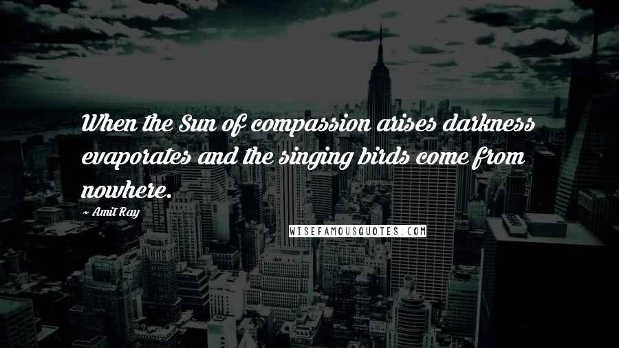 Amit Ray Quotes: When the Sun of compassion arises darkness evaporates and the singing birds come from nowhere.