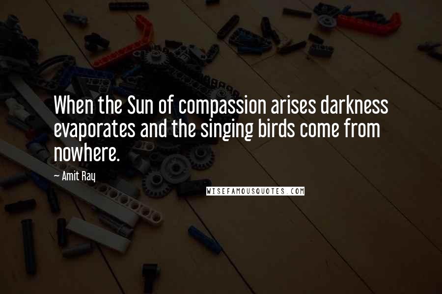 Amit Ray Quotes: When the Sun of compassion arises darkness evaporates and the singing birds come from nowhere.