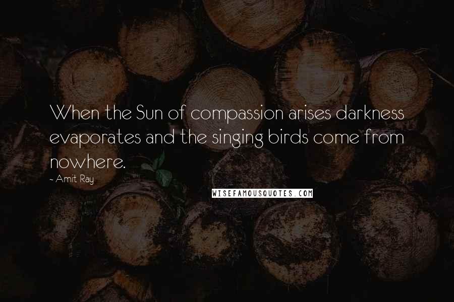 Amit Ray Quotes: When the Sun of compassion arises darkness evaporates and the singing birds come from nowhere.