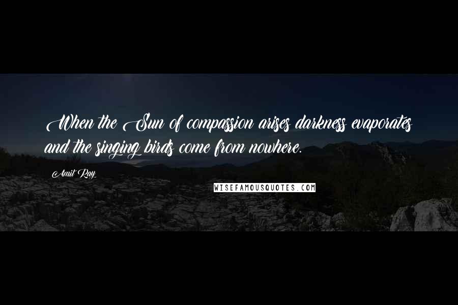 Amit Ray Quotes: When the Sun of compassion arises darkness evaporates and the singing birds come from nowhere.