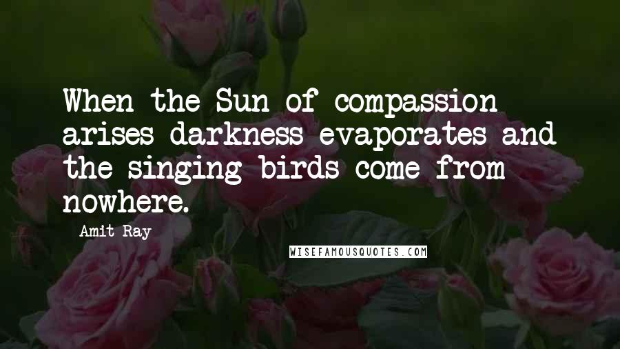 Amit Ray Quotes: When the Sun of compassion arises darkness evaporates and the singing birds come from nowhere.