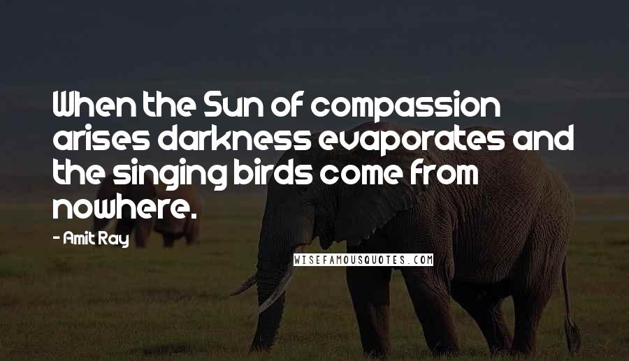 Amit Ray Quotes: When the Sun of compassion arises darkness evaporates and the singing birds come from nowhere.