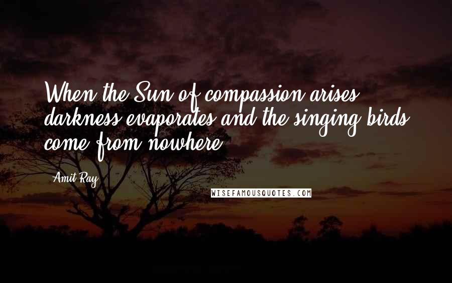 Amit Ray Quotes: When the Sun of compassion arises darkness evaporates and the singing birds come from nowhere.