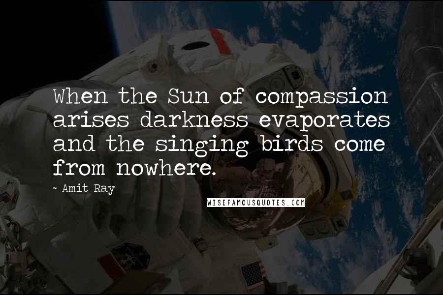 Amit Ray Quotes: When the Sun of compassion arises darkness evaporates and the singing birds come from nowhere.