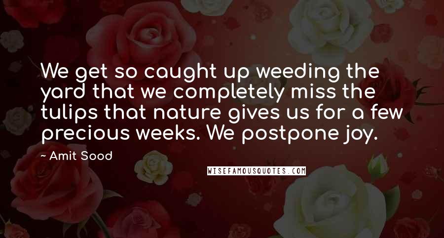 Amit Sood Quotes: We get so caught up weeding the yard that we completely miss the tulips that nature gives us for a few precious weeks. We postpone joy.