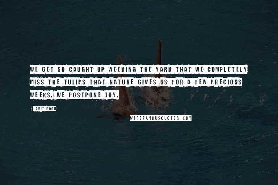 Amit Sood Quotes: We get so caught up weeding the yard that we completely miss the tulips that nature gives us for a few precious weeks. We postpone joy.