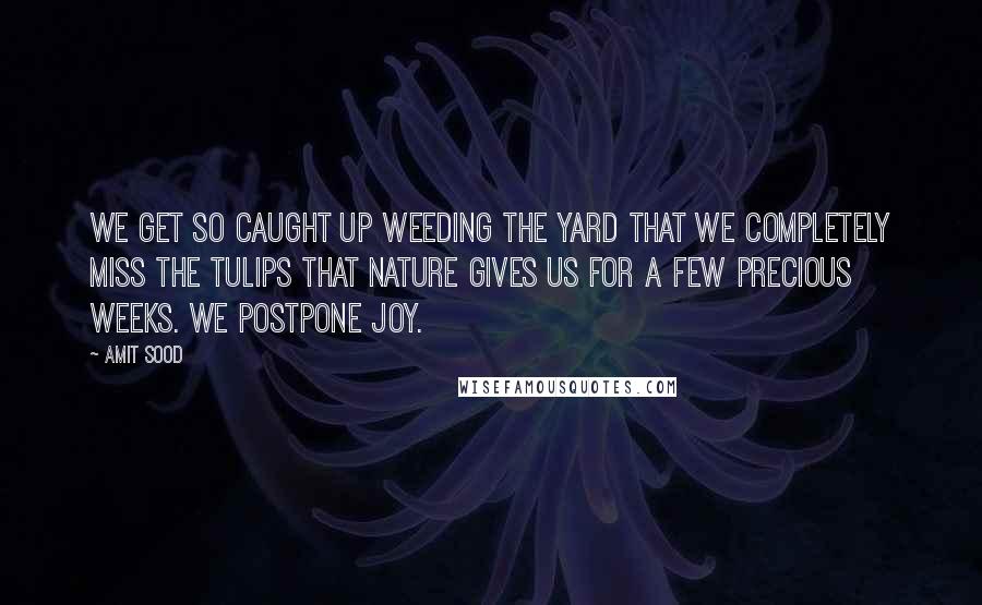 Amit Sood Quotes: We get so caught up weeding the yard that we completely miss the tulips that nature gives us for a few precious weeks. We postpone joy.