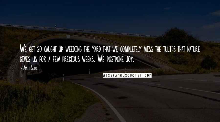 Amit Sood Quotes: We get so caught up weeding the yard that we completely miss the tulips that nature gives us for a few precious weeks. We postpone joy.