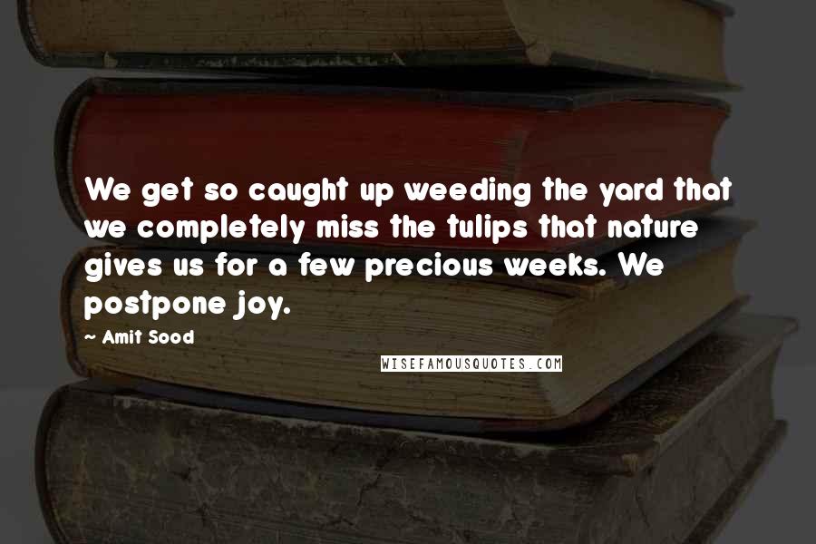 Amit Sood Quotes: We get so caught up weeding the yard that we completely miss the tulips that nature gives us for a few precious weeks. We postpone joy.