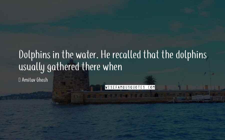 Amitav Ghosh Quotes: Dolphins in the water. He recalled that the dolphins usually gathered there when