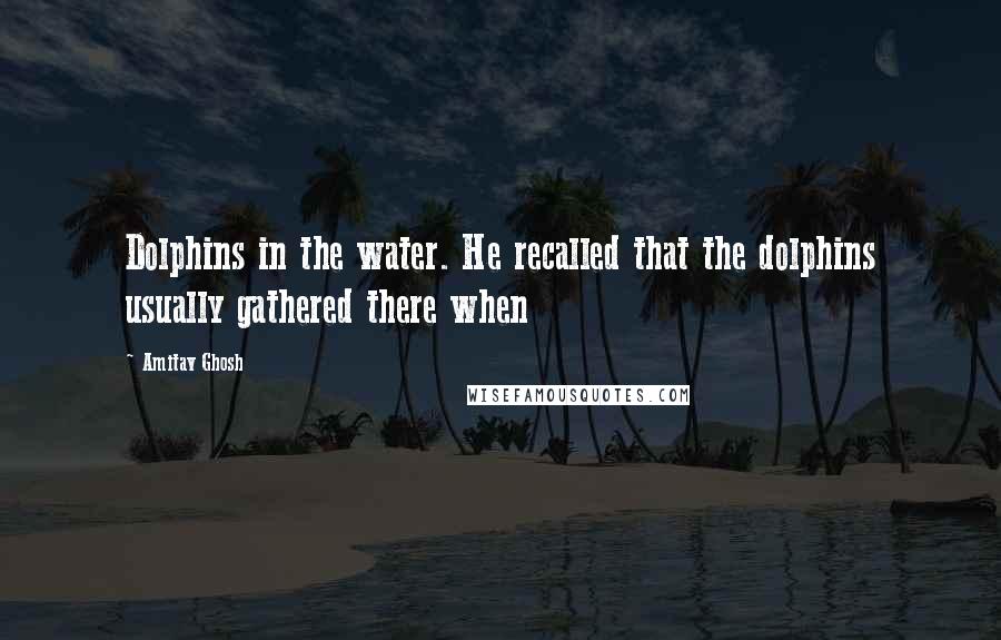 Amitav Ghosh Quotes: Dolphins in the water. He recalled that the dolphins usually gathered there when