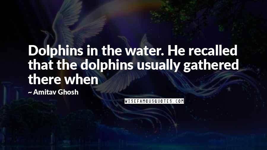 Amitav Ghosh Quotes: Dolphins in the water. He recalled that the dolphins usually gathered there when