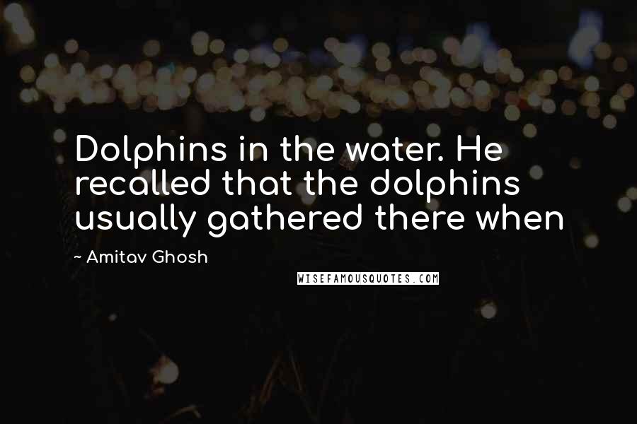 Amitav Ghosh Quotes: Dolphins in the water. He recalled that the dolphins usually gathered there when