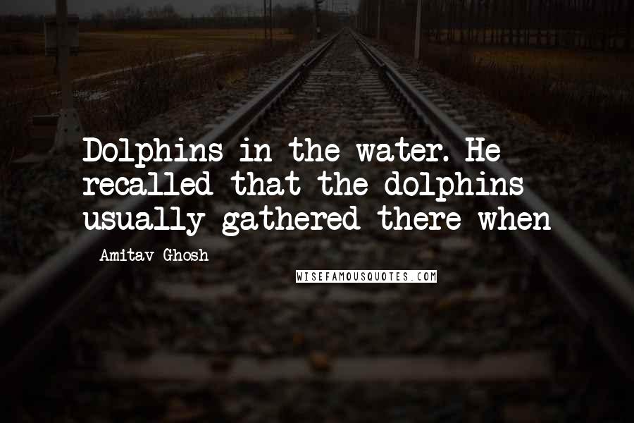 Amitav Ghosh Quotes: Dolphins in the water. He recalled that the dolphins usually gathered there when