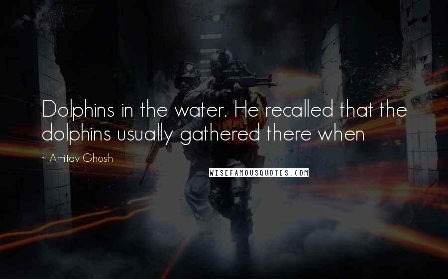 Amitav Ghosh Quotes: Dolphins in the water. He recalled that the dolphins usually gathered there when