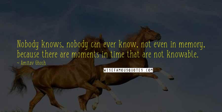 Amitav Ghosh Quotes: Nobody knows, nobody can ever know, not even in memory, because there are moments in time that are not knowable.