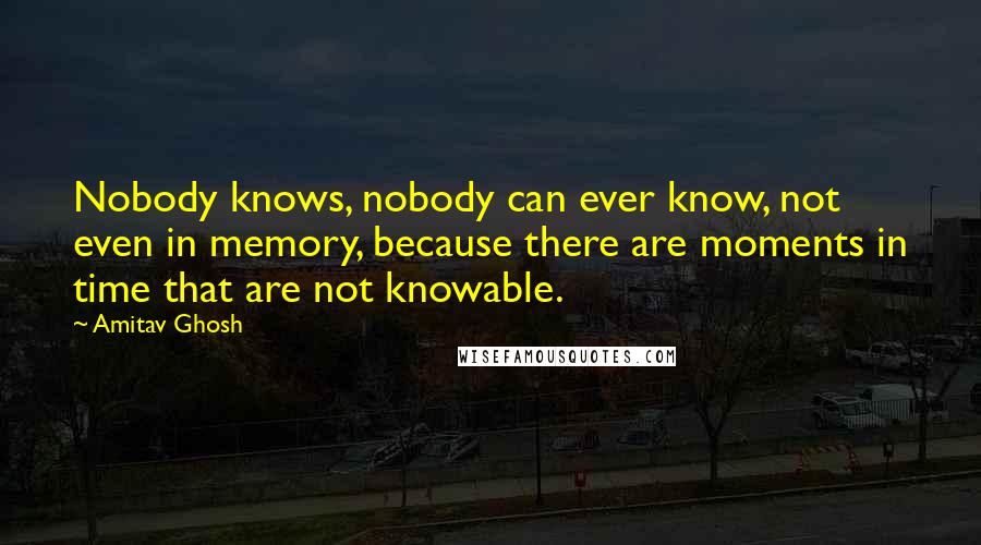 Amitav Ghosh Quotes: Nobody knows, nobody can ever know, not even in memory, because there are moments in time that are not knowable.