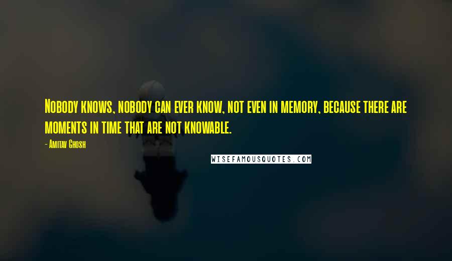 Amitav Ghosh Quotes: Nobody knows, nobody can ever know, not even in memory, because there are moments in time that are not knowable.