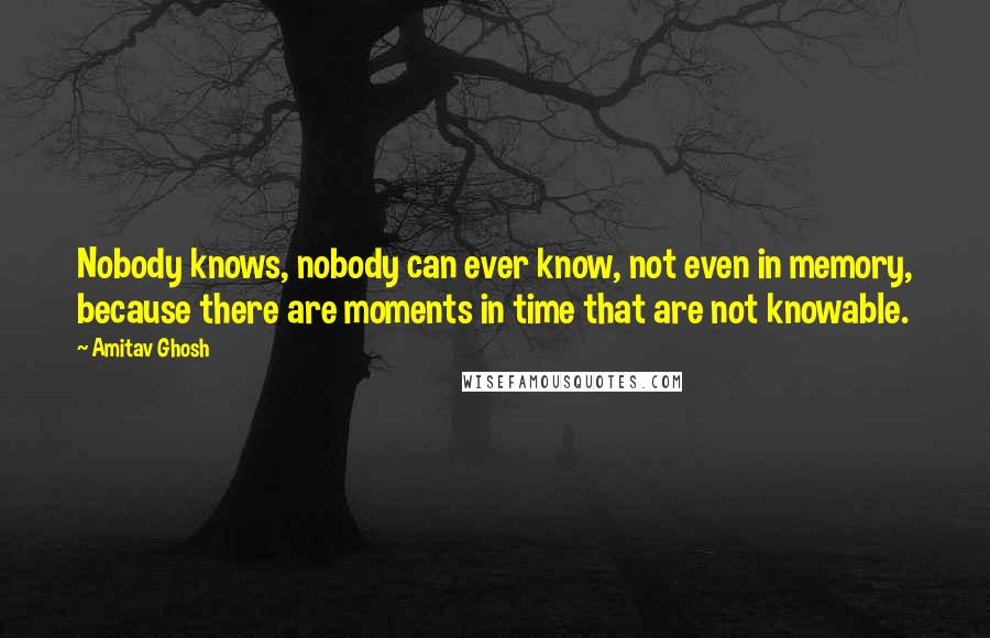 Amitav Ghosh Quotes: Nobody knows, nobody can ever know, not even in memory, because there are moments in time that are not knowable.