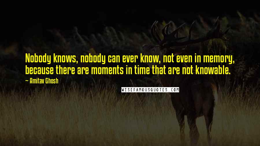Amitav Ghosh Quotes: Nobody knows, nobody can ever know, not even in memory, because there are moments in time that are not knowable.