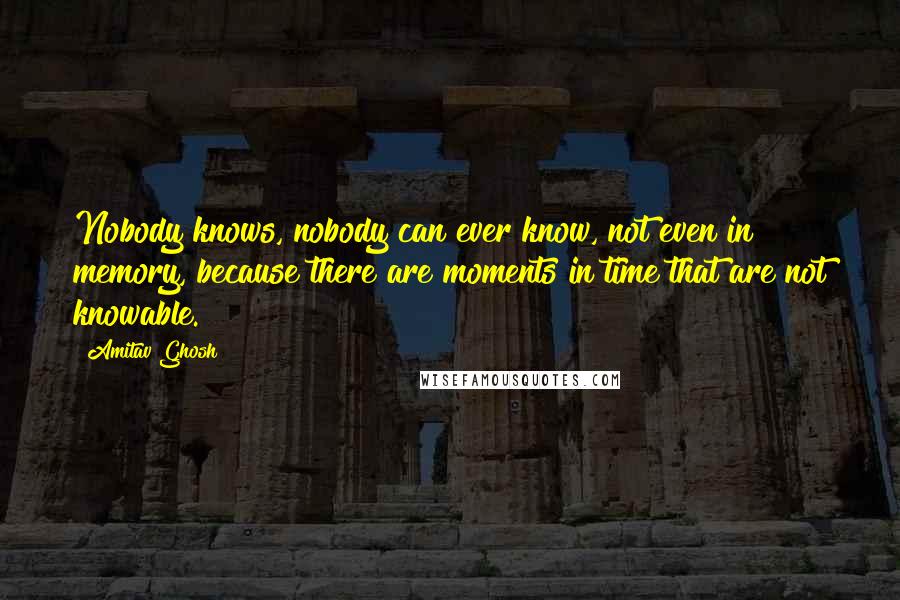 Amitav Ghosh Quotes: Nobody knows, nobody can ever know, not even in memory, because there are moments in time that are not knowable.