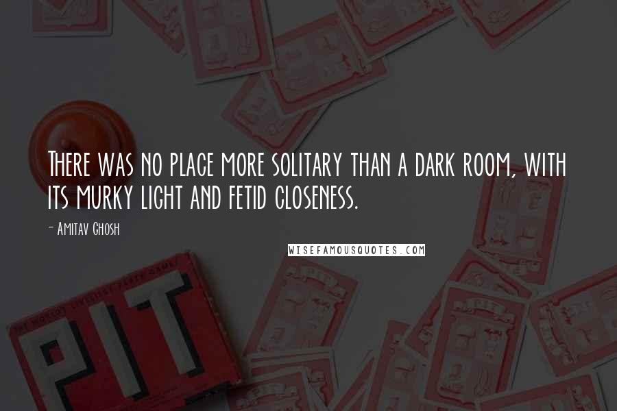 Amitav Ghosh Quotes: There was no place more solitary than a dark room, with its murky light and fetid closeness.