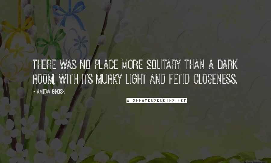 Amitav Ghosh Quotes: There was no place more solitary than a dark room, with its murky light and fetid closeness.