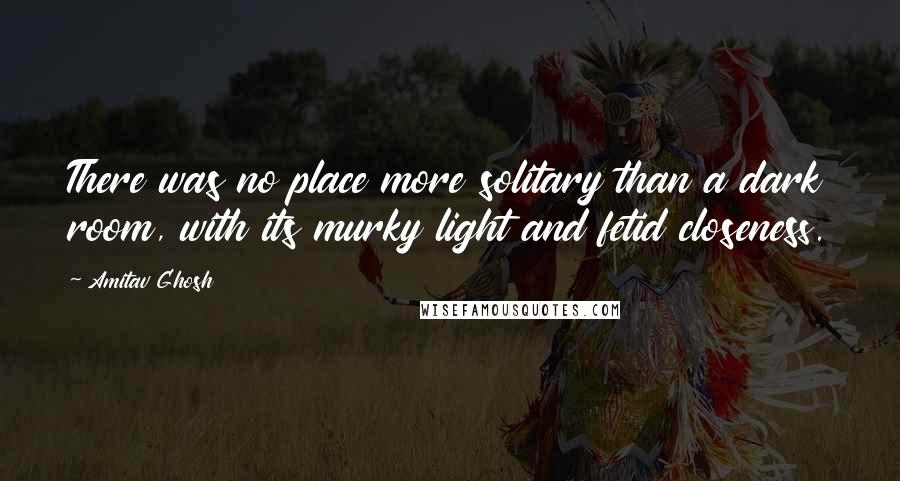 Amitav Ghosh Quotes: There was no place more solitary than a dark room, with its murky light and fetid closeness.