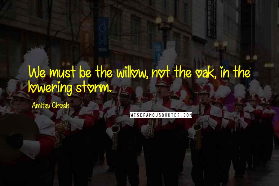 Amitav Ghosh Quotes: We must be the willow, not the oak, in the lowering storm.