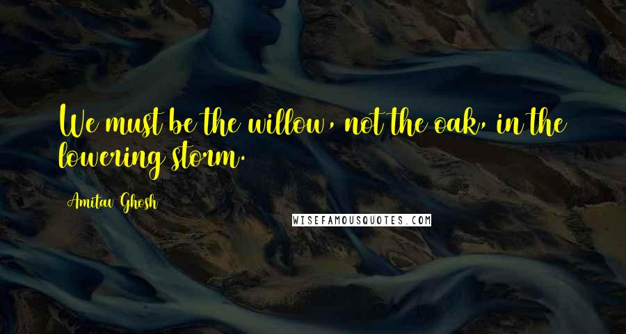 Amitav Ghosh Quotes: We must be the willow, not the oak, in the lowering storm.