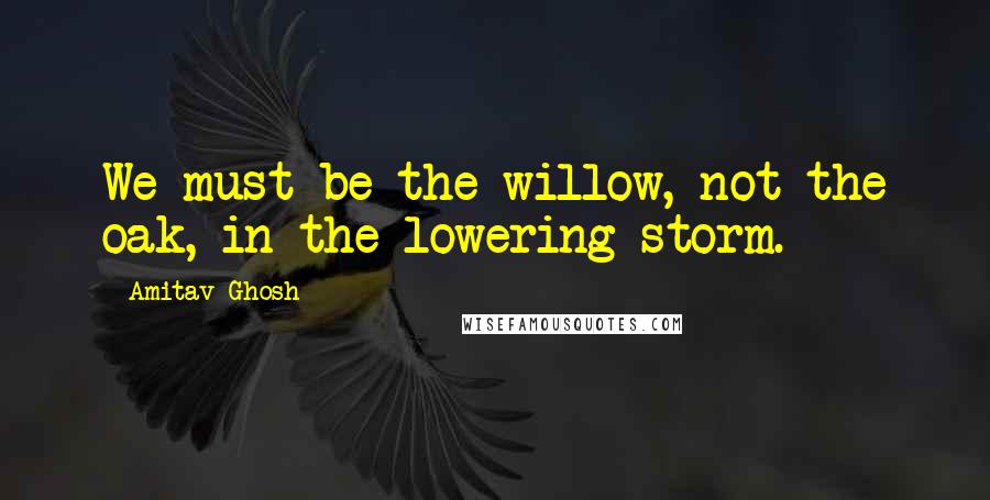 Amitav Ghosh Quotes: We must be the willow, not the oak, in the lowering storm.