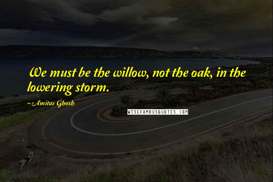 Amitav Ghosh Quotes: We must be the willow, not the oak, in the lowering storm.