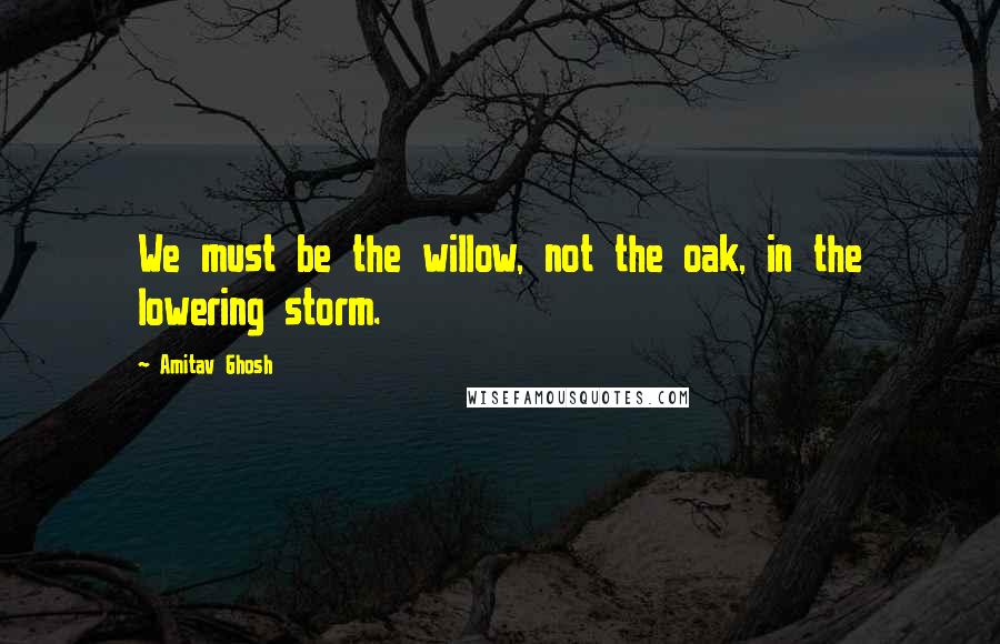 Amitav Ghosh Quotes: We must be the willow, not the oak, in the lowering storm.