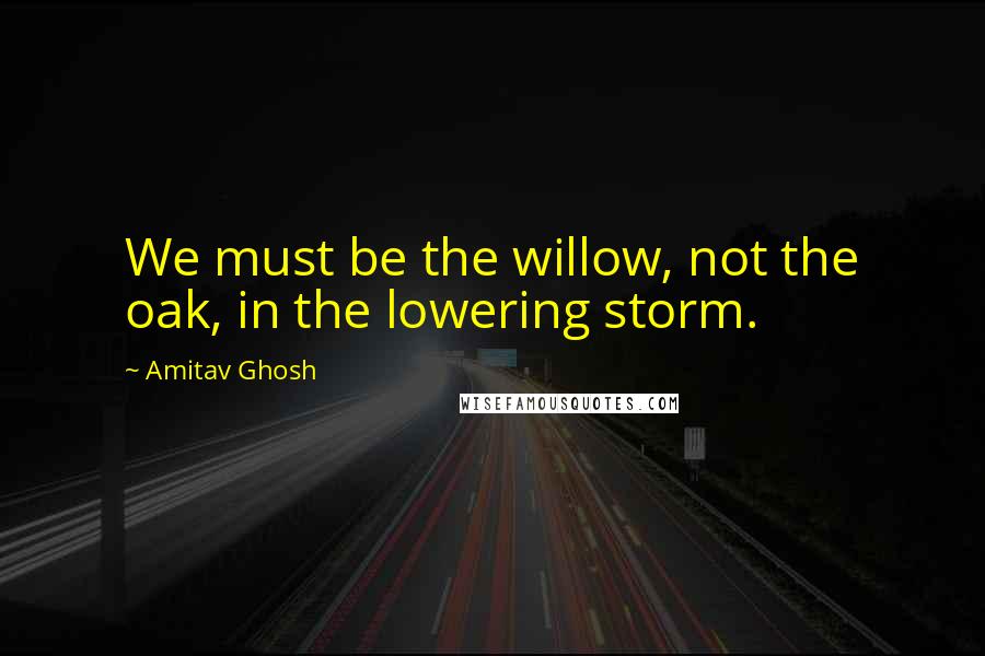 Amitav Ghosh Quotes: We must be the willow, not the oak, in the lowering storm.