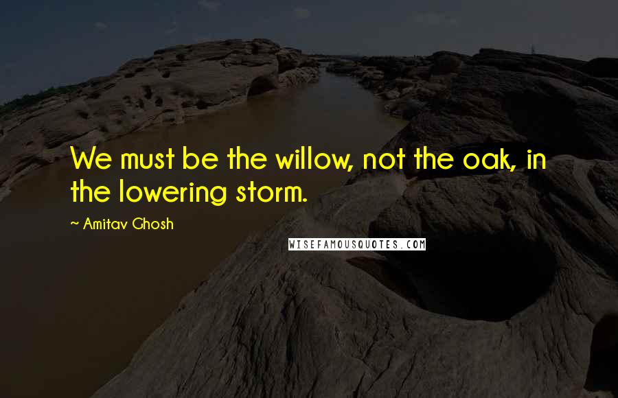 Amitav Ghosh Quotes: We must be the willow, not the oak, in the lowering storm.