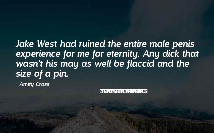 Amity Cross Quotes: Jake West had ruined the entire male penis experience for me for eternity. Any dick that wasn't his may as well be flaccid and the size of a pin.