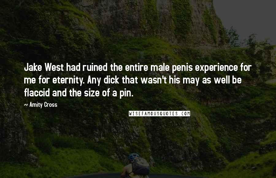 Amity Cross Quotes: Jake West had ruined the entire male penis experience for me for eternity. Any dick that wasn't his may as well be flaccid and the size of a pin.