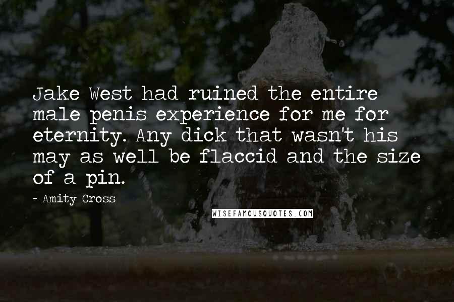 Amity Cross Quotes: Jake West had ruined the entire male penis experience for me for eternity. Any dick that wasn't his may as well be flaccid and the size of a pin.