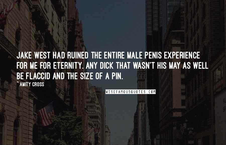 Amity Cross Quotes: Jake West had ruined the entire male penis experience for me for eternity. Any dick that wasn't his may as well be flaccid and the size of a pin.