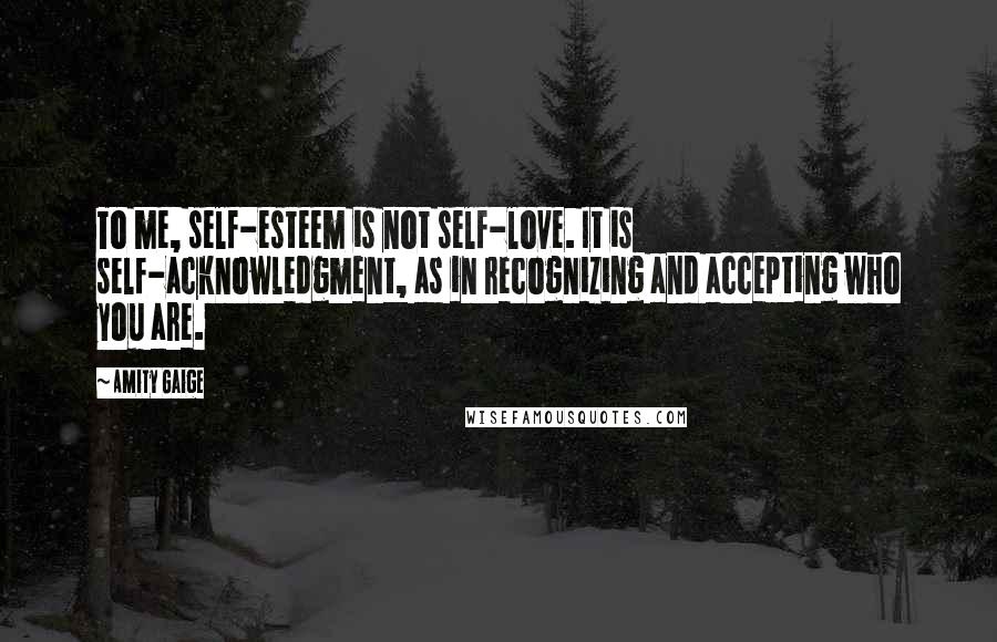 Amity Gaige Quotes: To me, self-esteem is not self-love. It is self-acknowledgment, as in recognizing and accepting who you are.