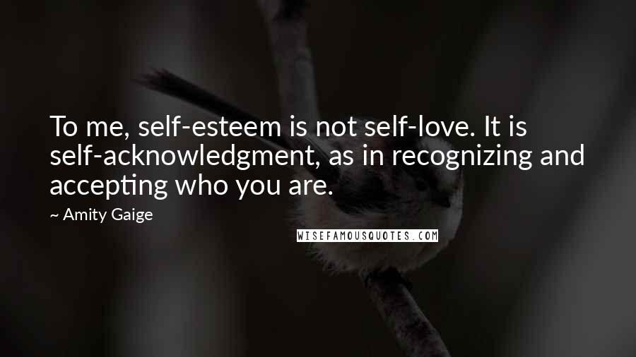 Amity Gaige Quotes: To me, self-esteem is not self-love. It is self-acknowledgment, as in recognizing and accepting who you are.