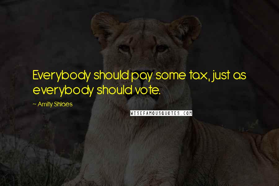 Amity Shlaes Quotes: Everybody should pay some tax, just as everybody should vote.