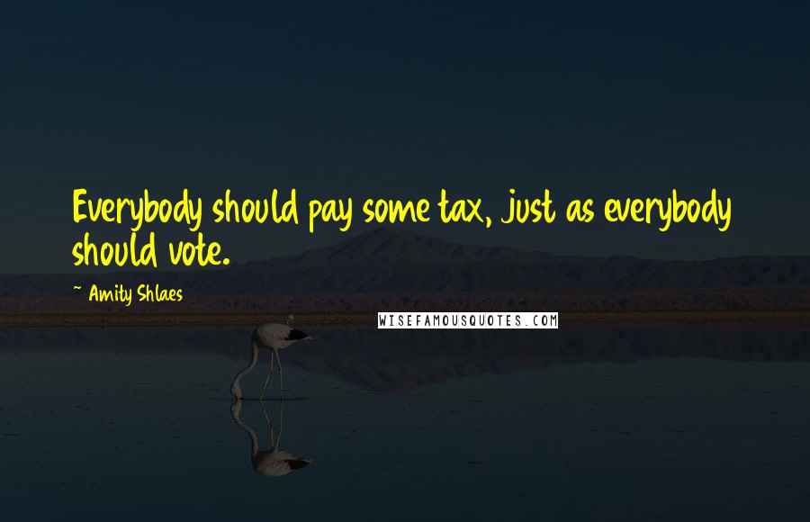 Amity Shlaes Quotes: Everybody should pay some tax, just as everybody should vote.