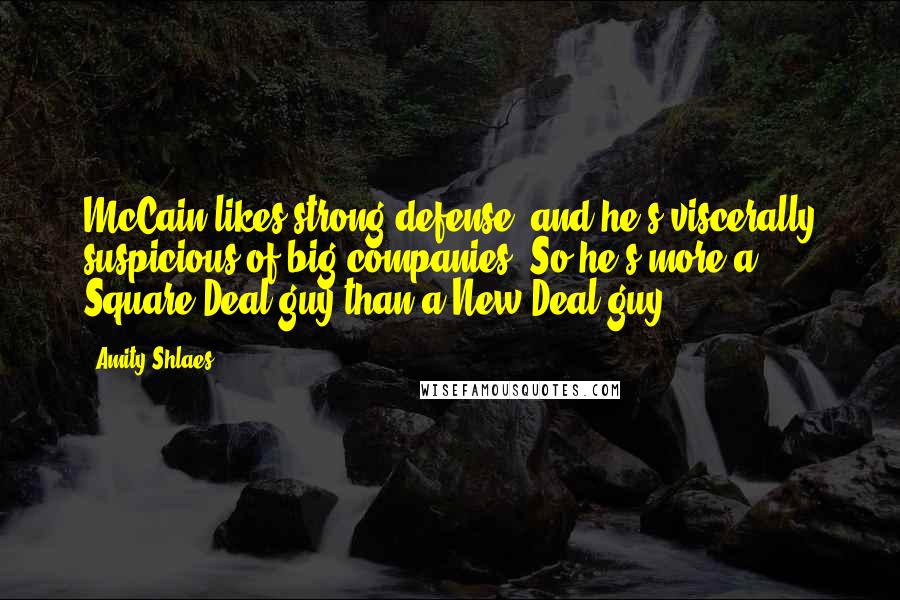 Amity Shlaes Quotes: McCain likes strong defense, and he's viscerally suspicious of big companies. So he's more a Square Deal guy than a New Deal guy.