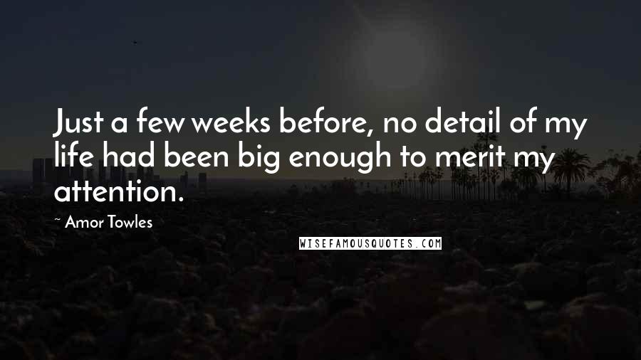 Amor Towles Quotes: Just a few weeks before, no detail of my life had been big enough to merit my attention.