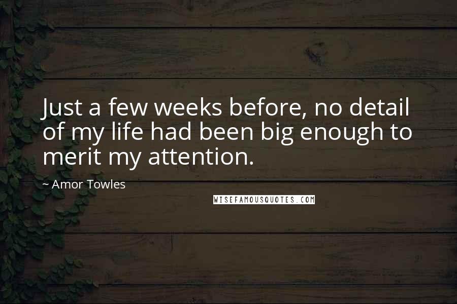 Amor Towles Quotes: Just a few weeks before, no detail of my life had been big enough to merit my attention.